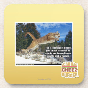 Cat image coaster
