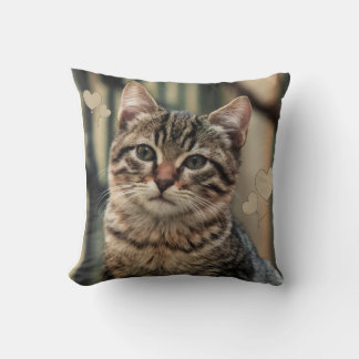 Cat Image Decorative Pillow – Cozy Living Room Dec