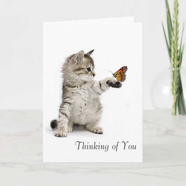 Cat image for get-well-card card (Front)