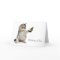 Cat image for get-well-card