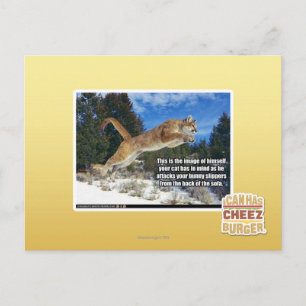 Cat image postcard