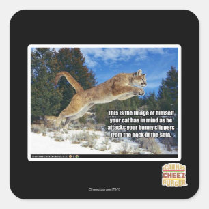 Cat image square sticker
