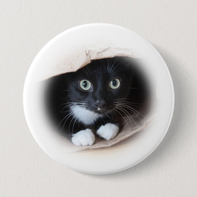 Cat in a b ag 3 inch round button (Front)