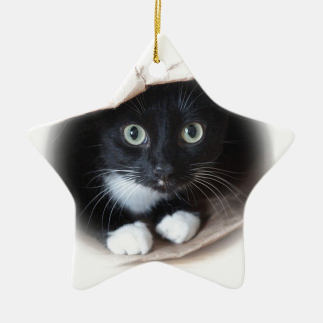 Cat in a bag ceramic ornament (Front)