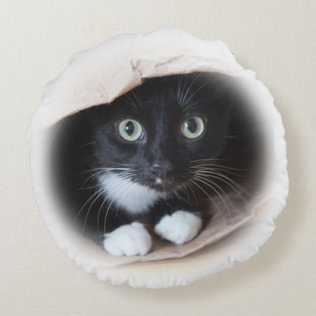 Cat in a bag round pillow (Back)