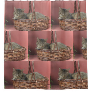 Cat In A Basket