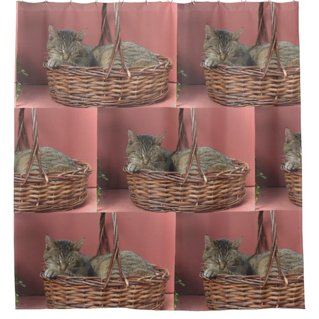 Cat In A Basket (Front)