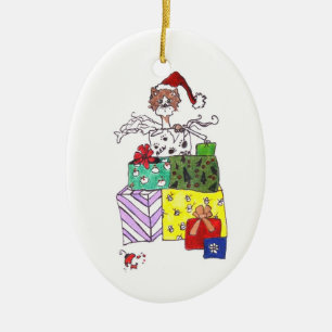 Cat in a Box Ceramic Ornament