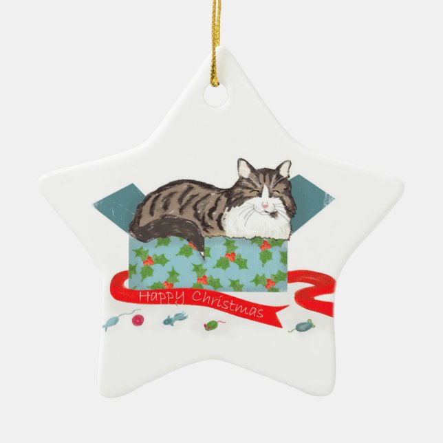 Cat in a box Christmas tree ornament (Front)