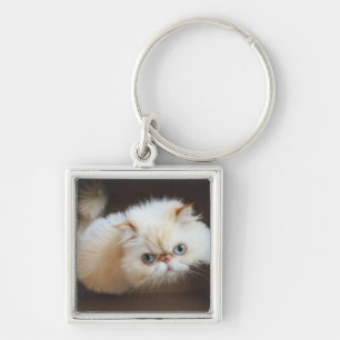 Cat In A Box Keychain