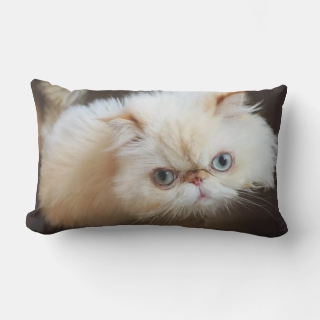 Cat In A Box Lumbar Pillow (Front)