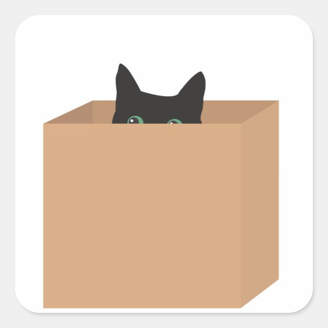 Cat In A Box Square Sticker (Front)