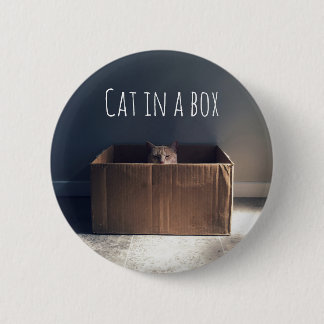 Cat in a box. The Zen cat master. 2 Inch Round Button