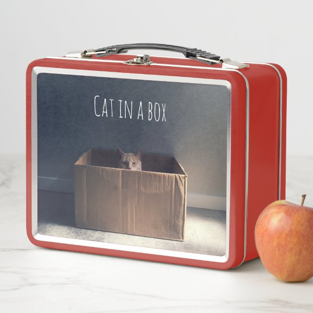 Cat in a box. The Zen cat master. Metal Lunch Box (In Situ)