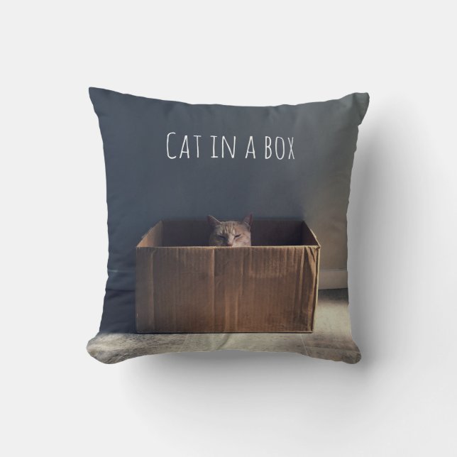 Cat in a box. The Zen cat master. Throw Pillow (Front)