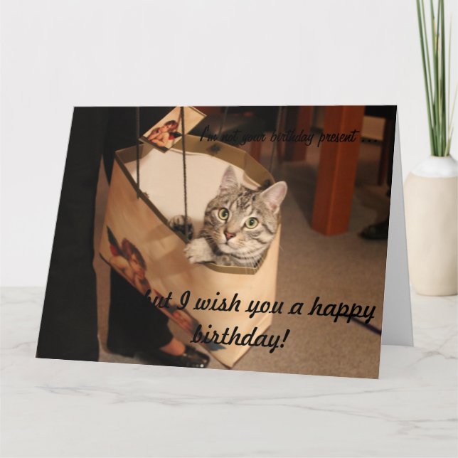 Cat in a gift bag: Big Birthday Card (Front)