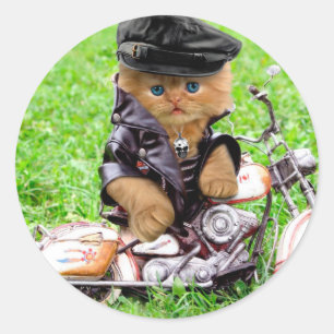 Cat in a motorcycle classic round sticker