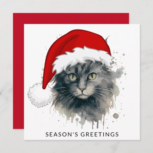 Cat In A Santa Hat Season's Greetings Holiday Card (Front/Back)