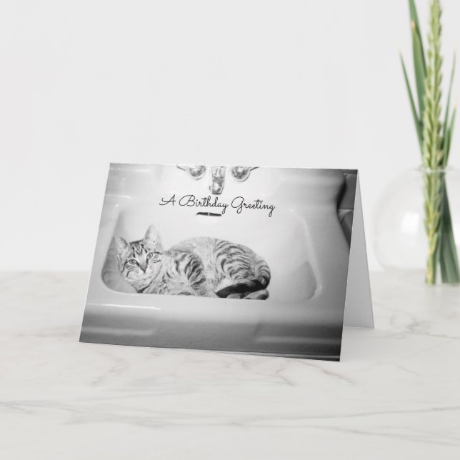 Cat in a Sink, Retro Kitten Birthday Feline Holiday Card (Front)