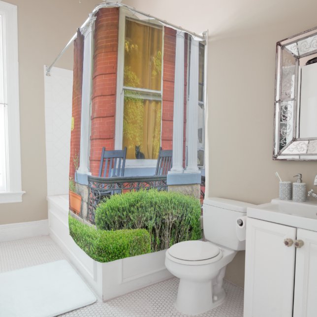 Cat in a Window (In Situ)