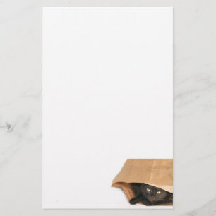 Cat in bag stationery