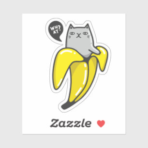 Cat in banana