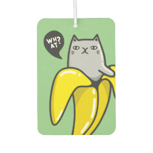 Cat in banana air freshener
