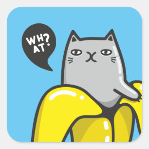 Cat in banana square sticker