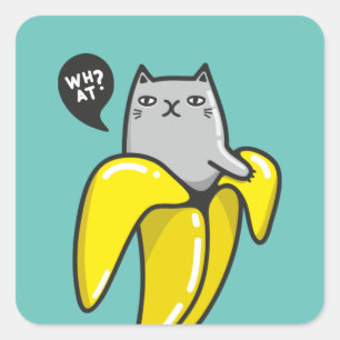 Cat in banana square sticker