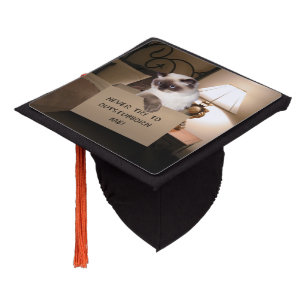 Cat in Box Graduation Cap Topper
