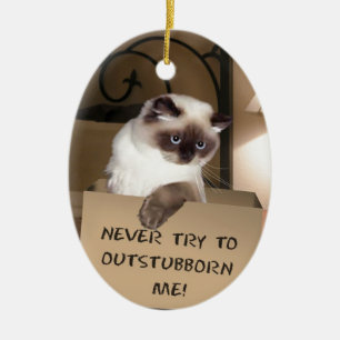 Cat in Box Himalayan Ceramic Ornament