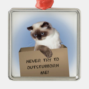 Cat in Box Metal Ornament