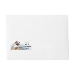 Cat in Box Wraparound Address Label