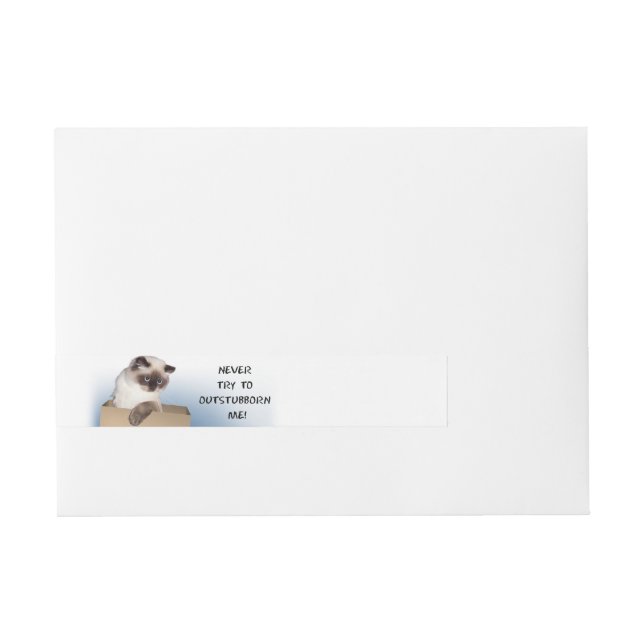 Cat in Box Wraparound Address Label (Front)
