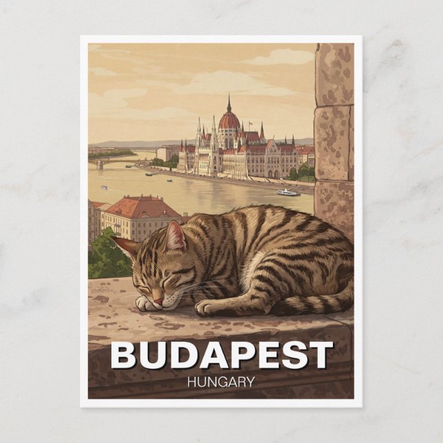 Cat in Budapest Hungary Parliament Building Travel Postcard (Front)