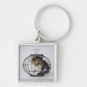 Cat in cage keychain