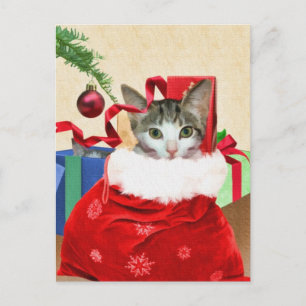 Cat in Christmas Bag with Presents Holiday Postcard