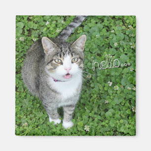 Cat in Clover Saying Hello Magnet
