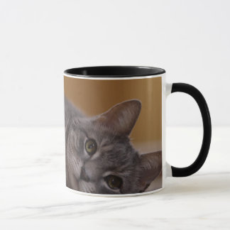 Cat In Cute Pose Lying on the Floor Mug