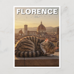 Cat in Florence Italy Duomo Travel Postcard