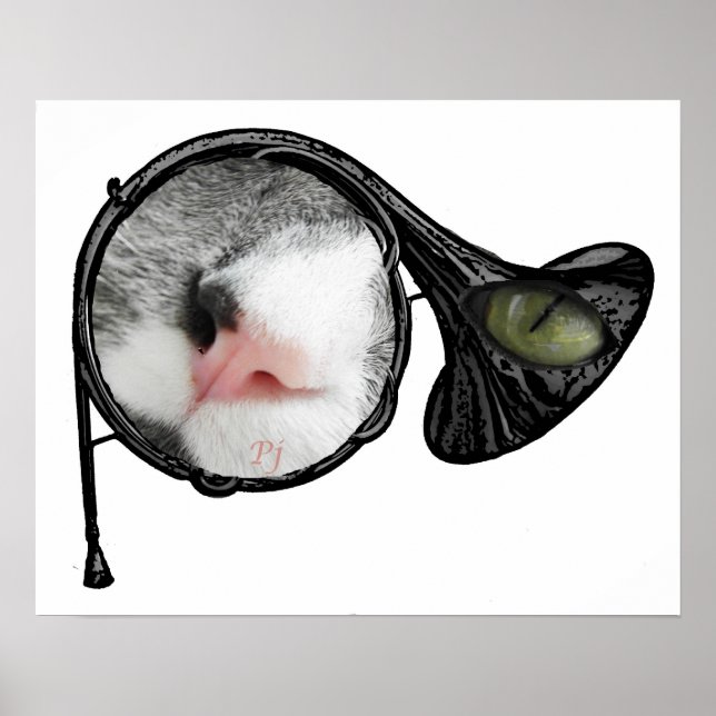 cat in french horn poster (Front)