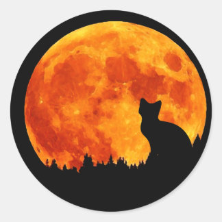 Cat in full orange Moon Classic Round Sticker