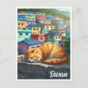 Cat in Gamcheon Cultural Village Busan Travel Postcard