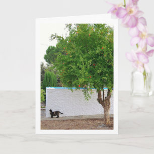 Cat in Garden Portrait Card
