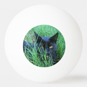 Cat-in-Grass Ping Pong Ball