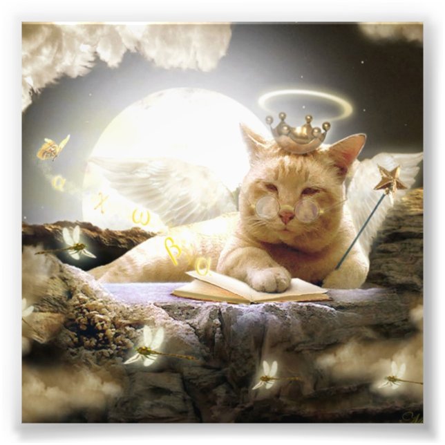 Cat in heaven Photo Prints. (Front)