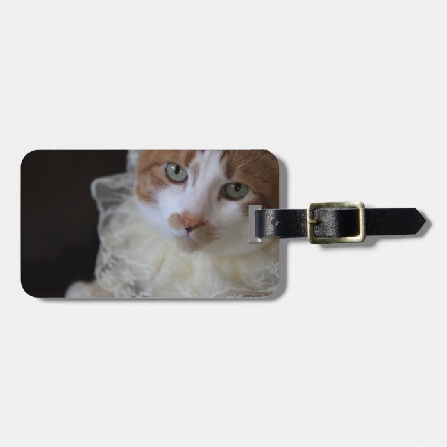 Cat in lacy collar luggage tag (Front Horizontal)