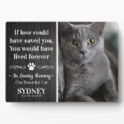 Cat In Loving Memory Photo Rustic Memorial