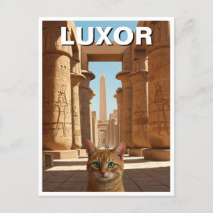 Cat in Luxor Egypt Karnak Temple Travel Postcard