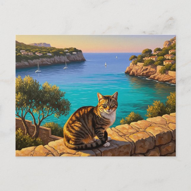 Cat in Mallorca Spain Travel Postcard (Front)